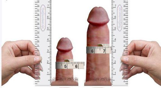 自宅での増強の前後の陰茎の測定