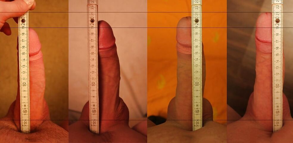 陰茎のサイズの変化