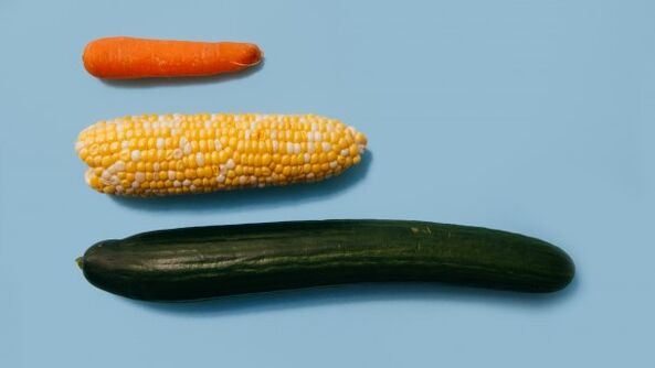 野菜の例で男性メンバーのさまざまなサイズ